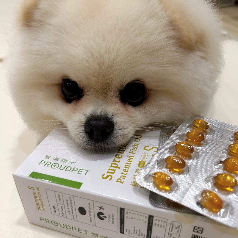 試用